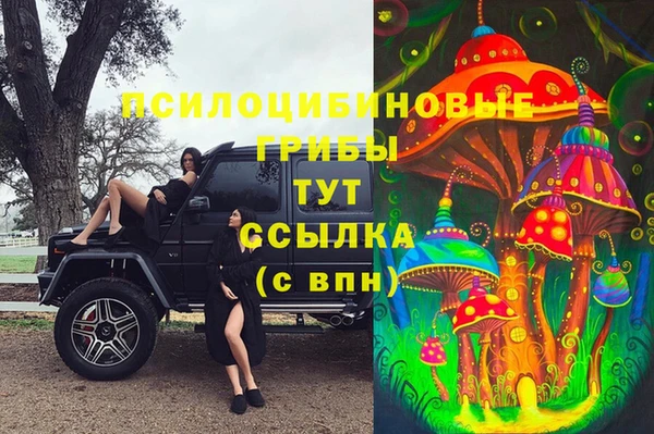 скорость Пересвет
