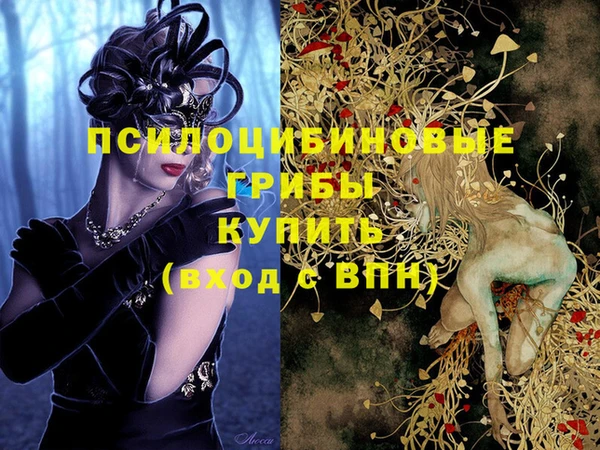 скорость Пересвет