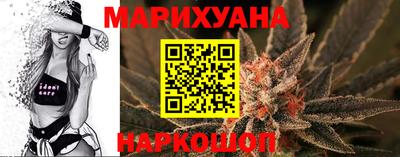 дмт Донской
