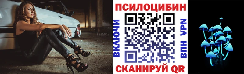 Псилоцибиновые грибы прущие грибы  Удомля 