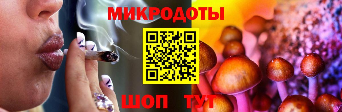 Псилоцибиновые грибы Cubensis Удомля