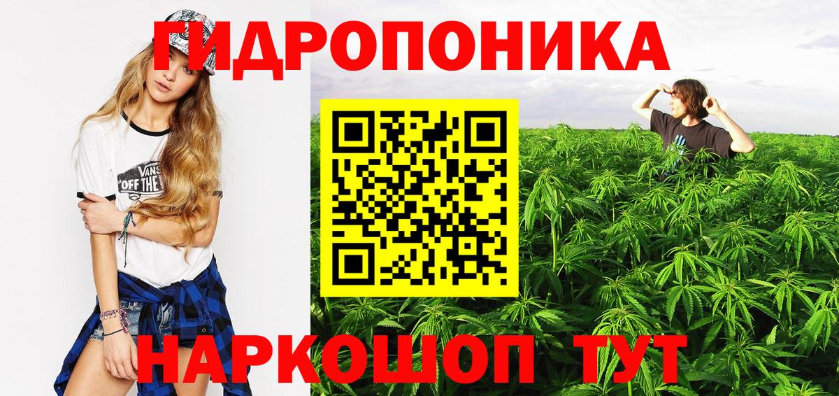 МАРИХУАНА White Widow  Конопля семена  Вход с VPN  Канабис White Widow  Удомля 